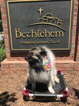 Bethlehem Church Picture #2 Event